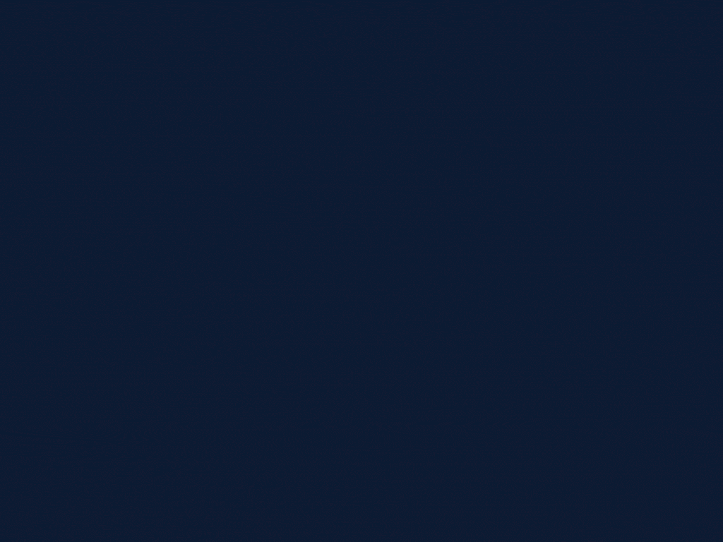 Logo animation Newcolor